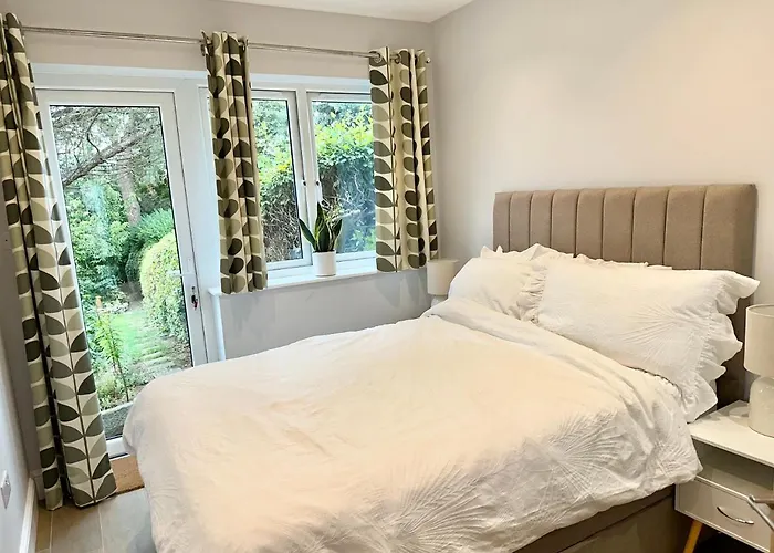 Little Vine - Beautiful Ground Floor Flat In South London